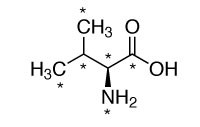 CNLM-442-H  L-缬氨酸(13C5,99%;15N,99%)